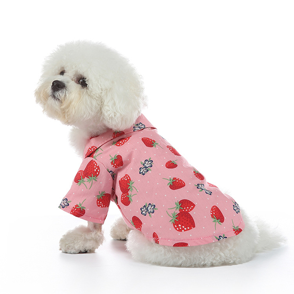 Chemises imprimées de fruits pour animaux de compagnie, T-shirt pour chien, Manteau fin, Veste pour chiot, Vêtements pour chat, Tenues pour petits chiens, Tenues de Schnauzer