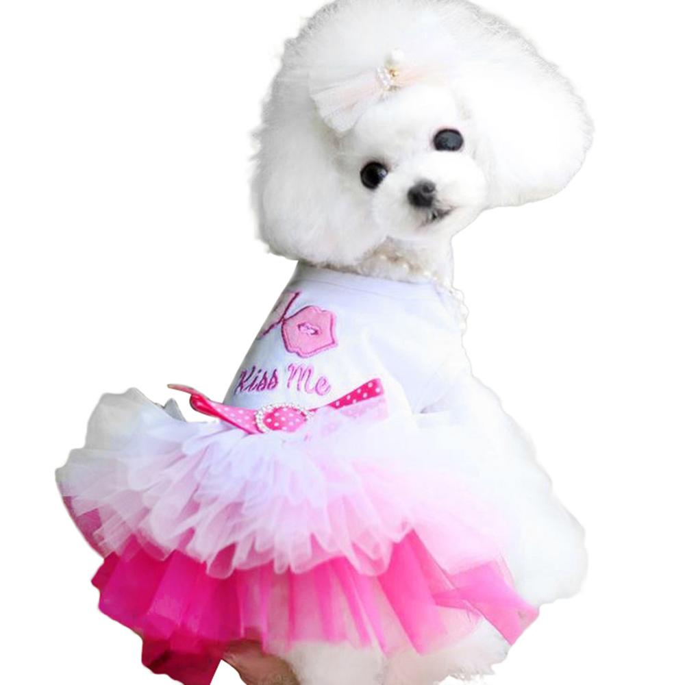 Lente Zomer Leuke Hond Kleding Voor Mooie Puppy Sweety Prinses Jurk Tutu Jurk T-shirt Ademend Kant Kostuum Huisdier Kleding: Pink / XS