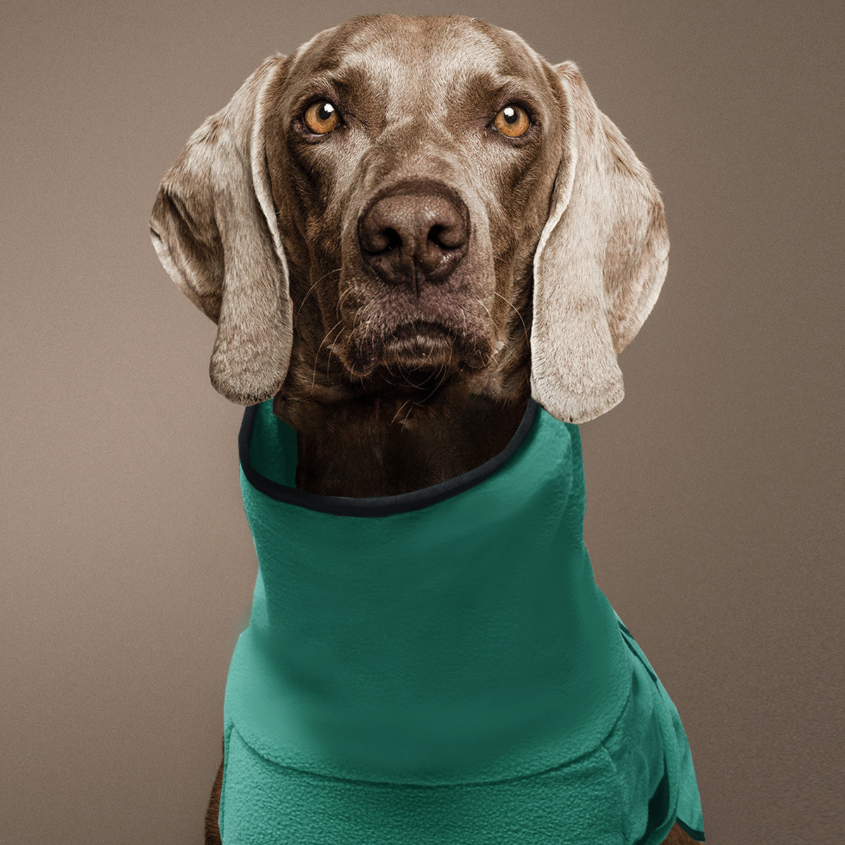Kleidung für große Hunde, Winter, warm, Weste für große Hunde, Jacke, Mantel für Hunde, Windhund, Dobermann, Kleidung für mittelgroße und große Hunde