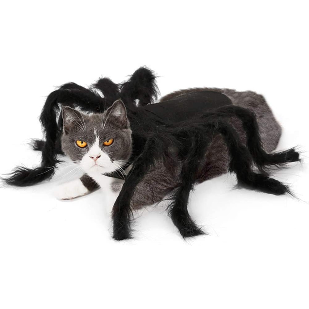 Halloween edderkop tøj til kæledyr hund kat edderkopp kostumer udklædning kæledyr tøj kæledyr halloween rekvisitter tilbehør til festtøj