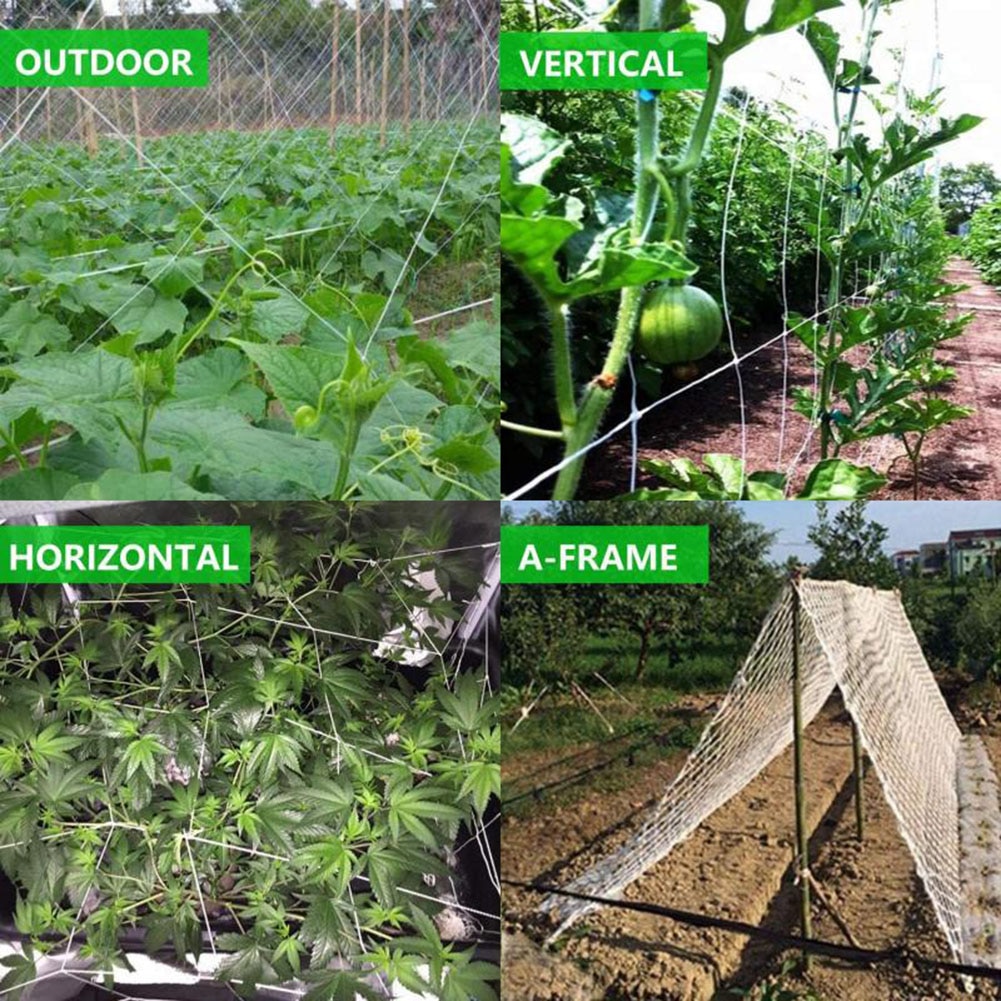 1.67x5m rośliny ogrodowe siatka wspinaczkowa poliester pomidory winogrona fasola ogórki winorośli wsparcie krata netto narzędzia ogrodowe