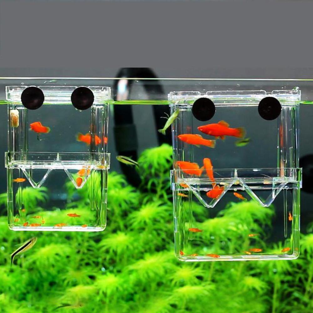 Large Acrylic Fish Breeding Box Aquarium Breeder Box S/L Aquarium Isolation Double Guppies Incubator Pet Supplies Hatching