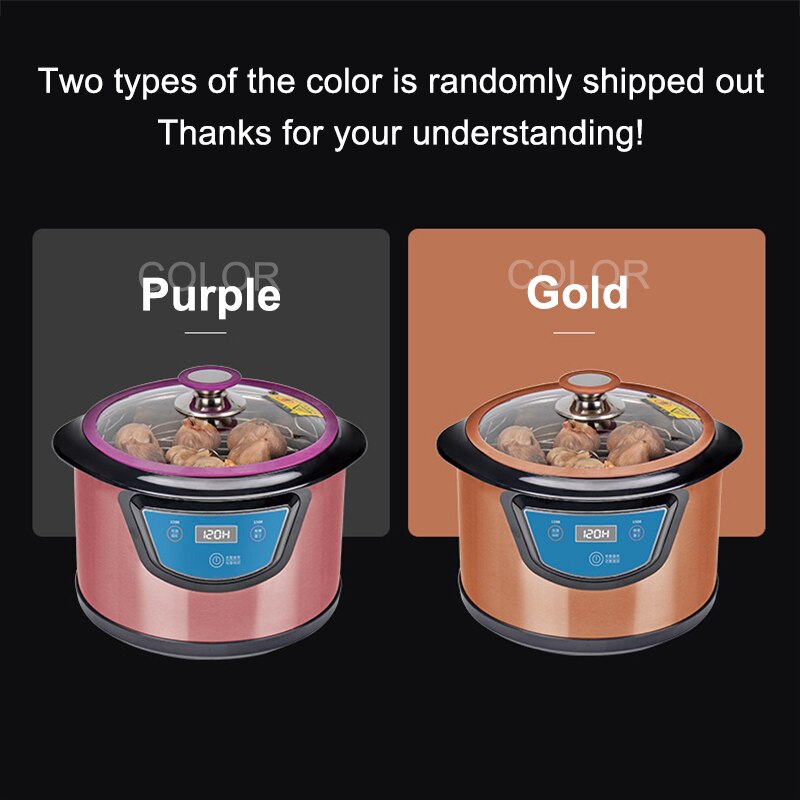 110V/220V 6L fermentatore di aglio nero elettrico fermentatore macchina fai da te automatico zymolisi Zymosis pentola EU