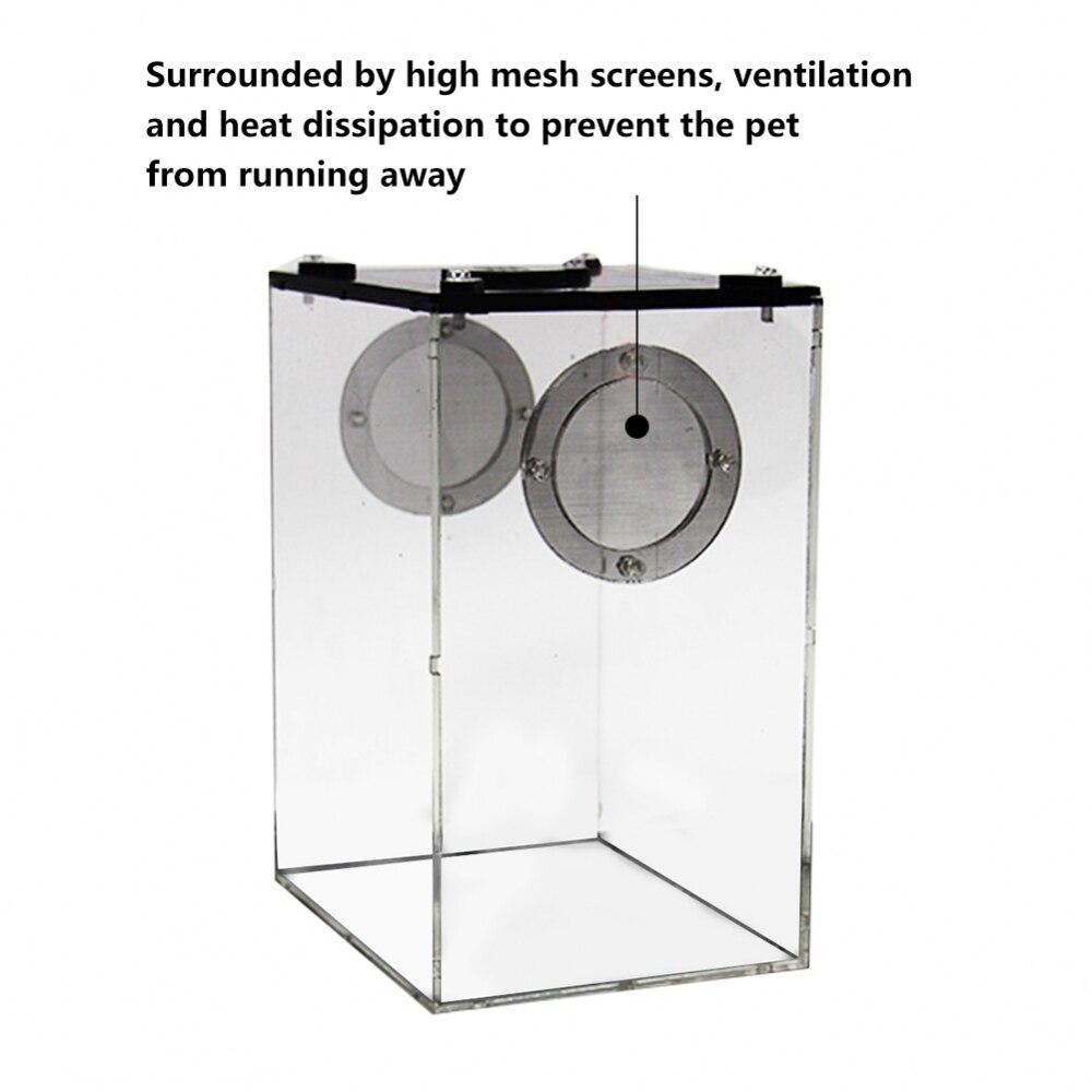S/L Reptile Feeding Box Transparent Panorama Insect Breeding Box Snake Spider Lizard Breathable Reptile Breeding Container