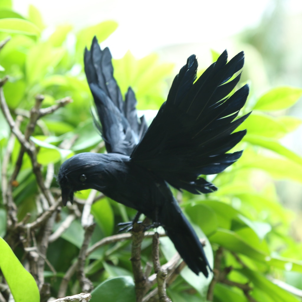Zwart Vliegende Kraai Decoy Vogels Scarer Vogelverschrikker Tuin Repeller Ornament