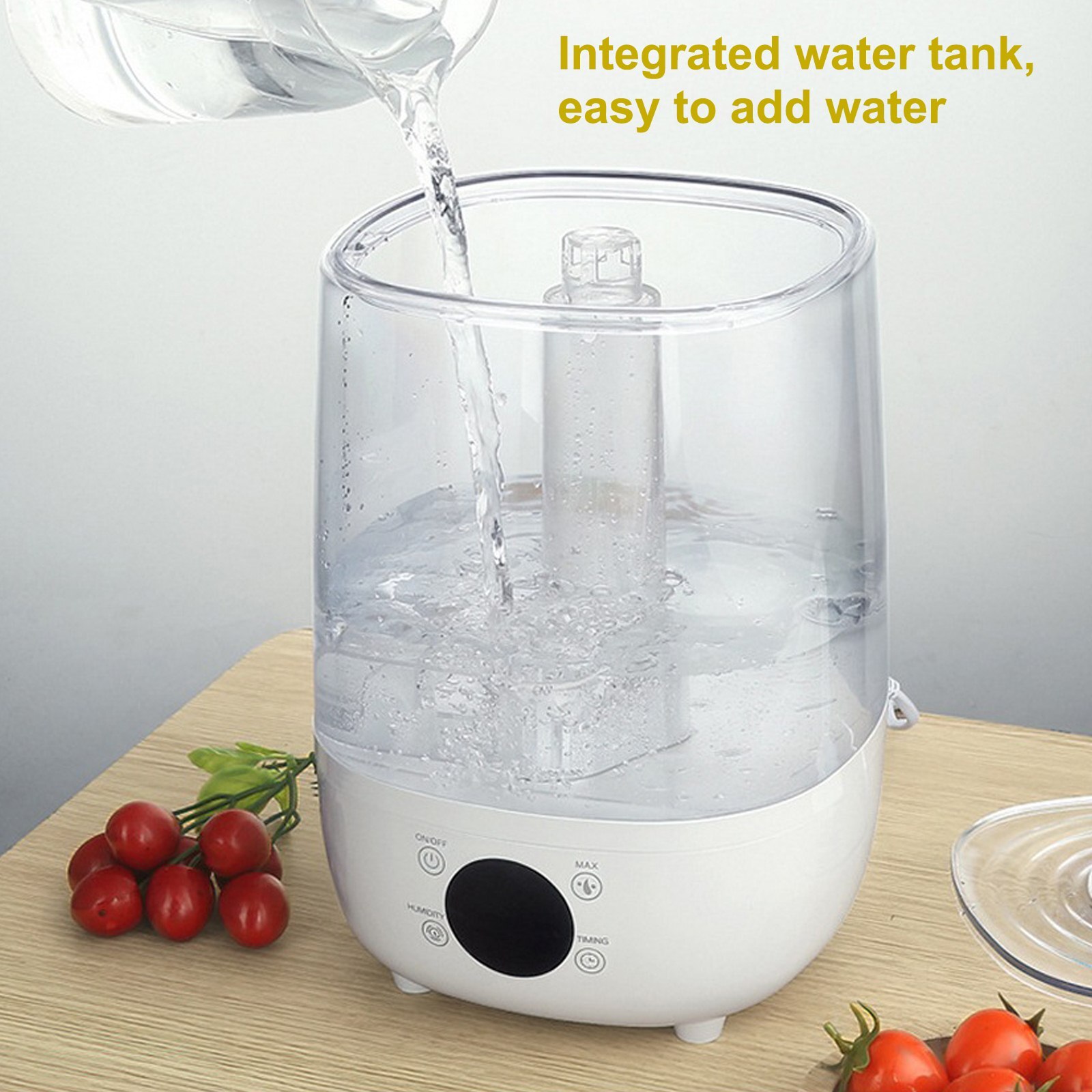 4L Reptiel Luchtbevochtiger Huisdier Mist Rookmachine Bevochtigen Verstuiver Water Tank Voor Hagedis Schildpad Amfibieën Terraria Met Slang