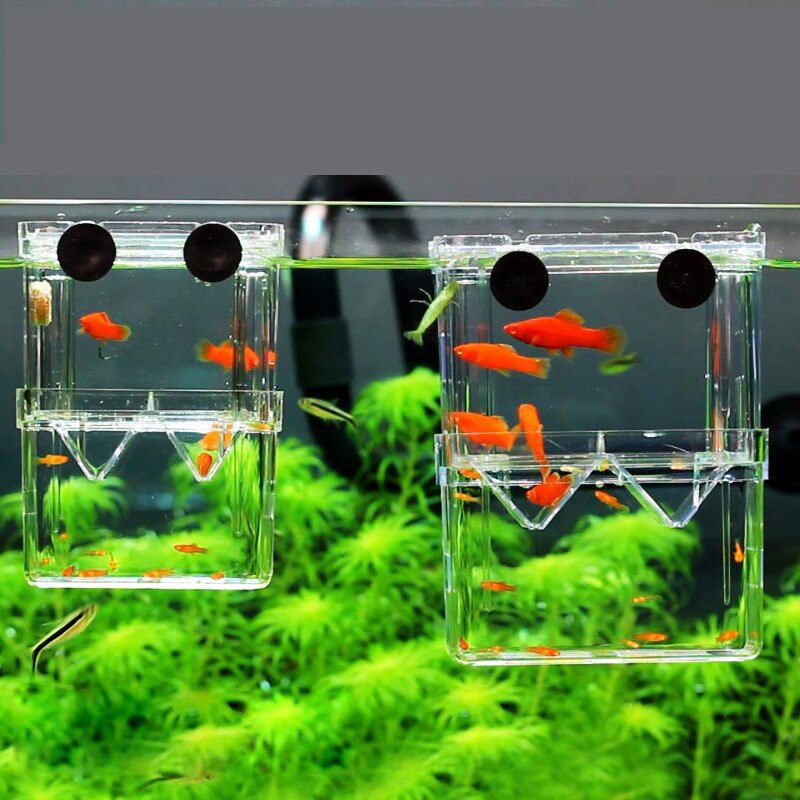 Høj fiskavlskasse akvarie opdrætterboks dobbelt guppies ruger inkubator isoleringskasse størrelse s