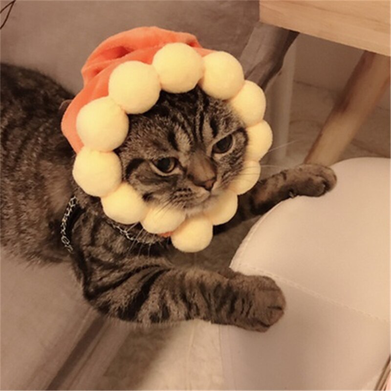 Cão de estimação roupas de gato traje de halloween chapéu de gato cachecol terno manto vestir-se ano novo traje de animal de estimação roupas de natal maschas