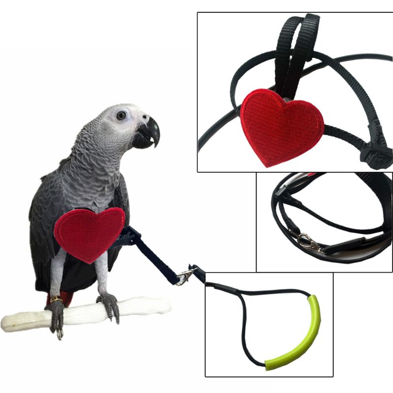 Anti-mordida Corda Treinamento de Vôo Ultraleve Aves Papagaio Brinquedos do animal de Estimação Trela Arnês Macio Portátil