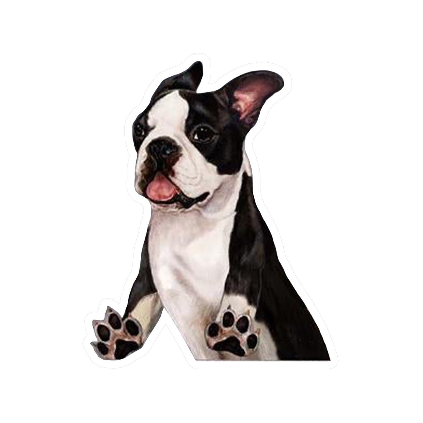 3D Funny Pug Dog Watch Snail PVC Car Window Decal Waterproof Cute Pet Puppy Vehicle Home Decorative Sticker Auto Accessory: C