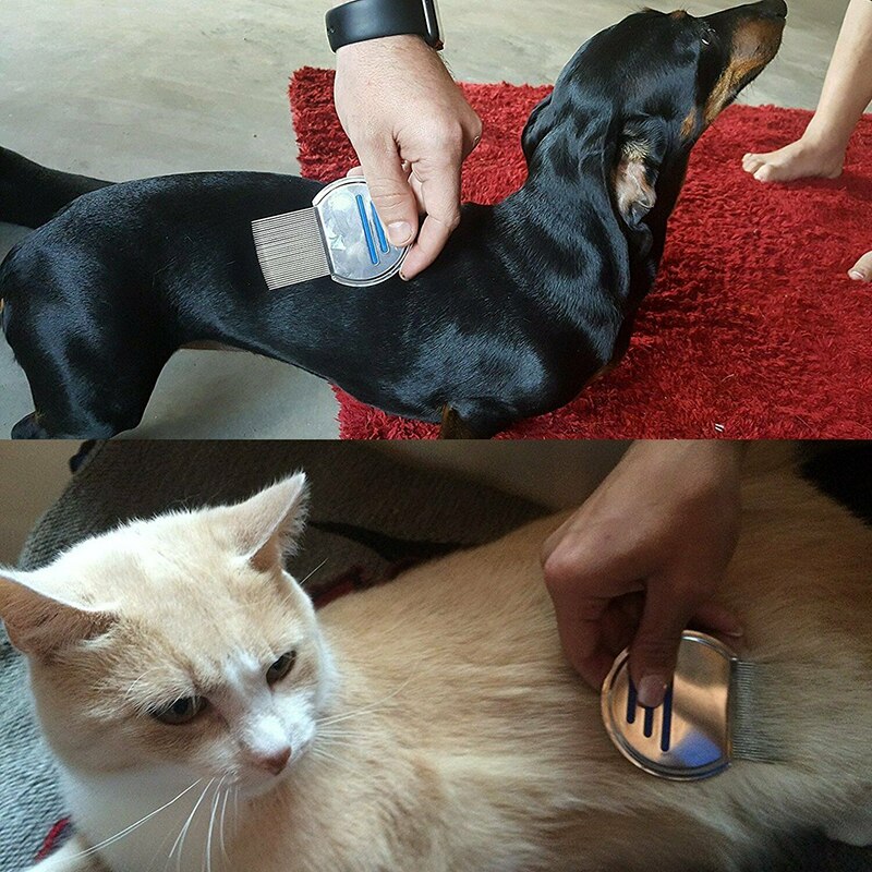 Dropship terminator grzebień na wszy gnida kot szczotka dla psa darmowe włosy elimonować wszy ze stali nierdzewnej metalowe zęza pomocą usuń gnida Szczotka artykuły dla zwierząt