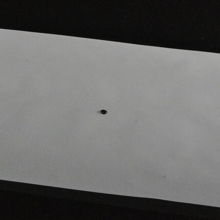 10 stk diamant svovelsyre papir kalkerpapir  a1 73g kalligrafi kopioverføringspapir