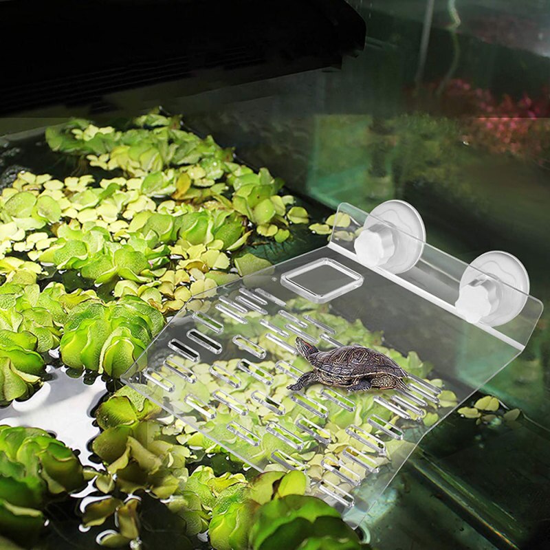 Schildpad Platform Acryl Drijvende Eiland Schildpad Reptiel Pet Koesteren Terug Drijvende Platform Schildpad Klim Plank Aquarium Tool