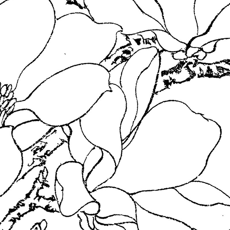Meticulous Painting Round Fan Line Draft Beginner Line Drawing Print Manuscript Paper Traditional Chinese Painting Flower Bird