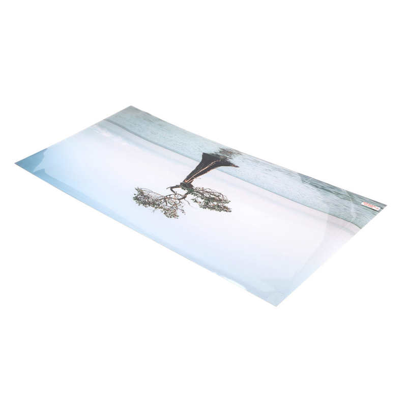 Self Adhesive Fish Tank Wallpaper Aquarium Background Poster Lifelike Tree in The Sea Style for Tank