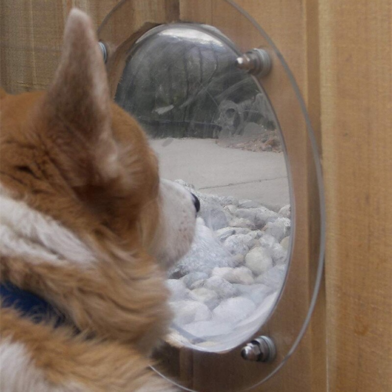 Hundehegn vindue klart udsyn kuppel kæledyr kig vindue xl størrelse til hund/kat/hest