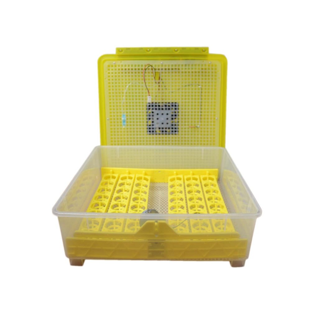 Incubatrice automatica per uova a 48 fori incubatrice digitale controllo della temperatura per pollo pollame Hatcher anatre uccelli d'oca