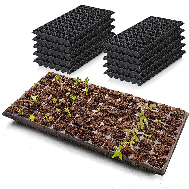 Seedling Packing 10-Pack Seed Starter Kit, 72 Cell Seedling Trays G... – Grandado