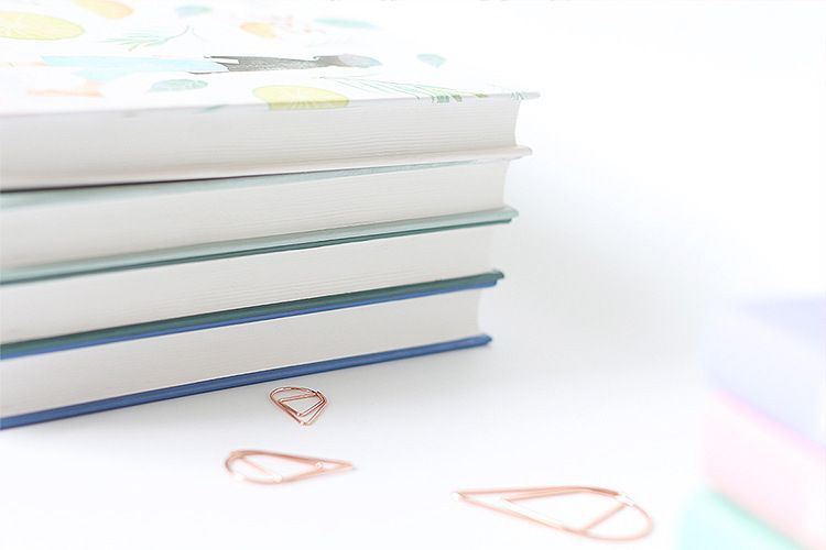 Minkys Kawaii 365 Dagen Leven Planner Dagboek Notebook En Tijdschriften Bullet Daliy Wekelijkse Maandelijkse Notepad School Kantoorbenodigdheden