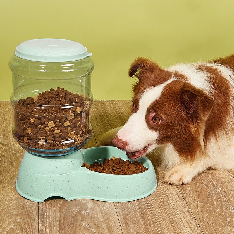 Distributeur d'eau de grande capacité pour animaux de compagnie, alimentation automatique pour chien, bol de nourriture pour petit chien, dispositif de bouteille de simulation, fournitures pour animaux de compagnie, 3,8 L