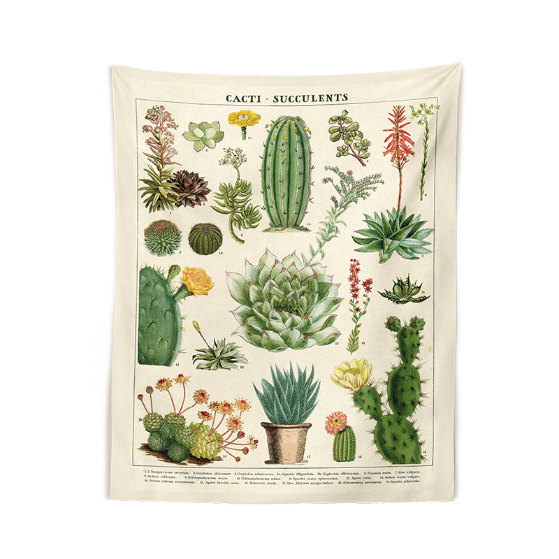 Botanisk kaktus billedvev veggheng retro kaktus sukkulenter soppkart hippie bohem psykedelisk hekseri hjemmeinnredning