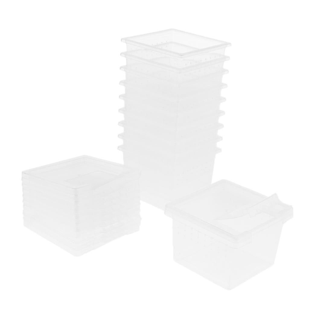 10 Pcs Insect Reptiel Spider Terraria Fokken Box Uitkomen Container