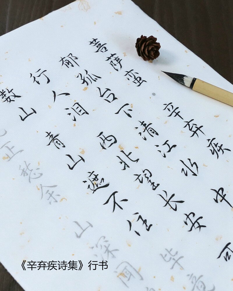 100 Pcs Kalligrafie Copybooks Calligraphie Xuan Papier Gedicht Schrift Beginner Chinese Kleine Reguliere Script Running Script Schrift: G