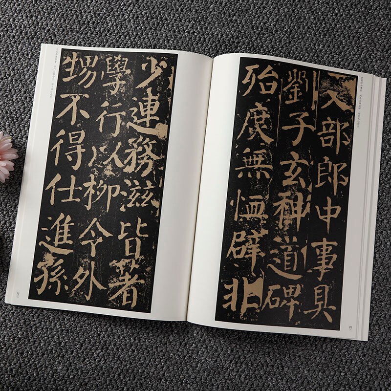 Regular Script Brush Calligraphy Copybook Yan Zhenqing Zhao Mengfu Chinese Classics Inscription Set Chinese Bronze Inscription