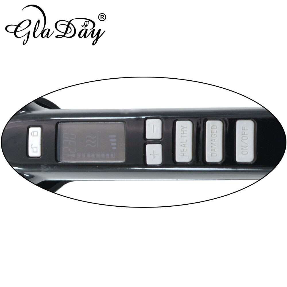 Titanium Hair Flat Iron Straightener Titanium Flat Iron Hair Straightener Irons Chapinha Wet & Dry Styling Tools