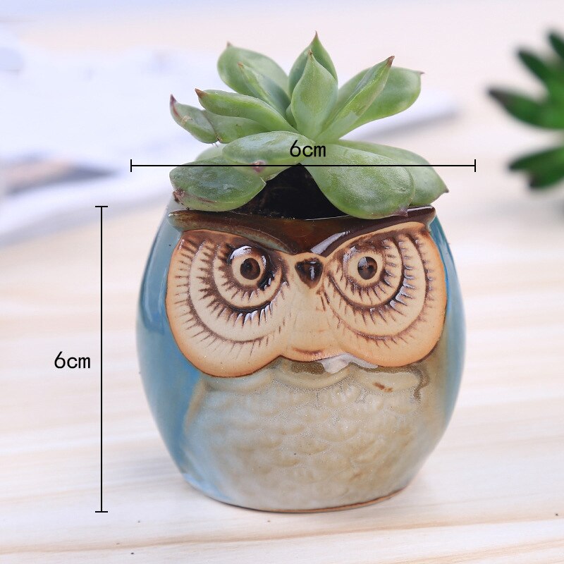 6 stk / sæt keramisk uglepotte saftige planter kaktus blomsterpotte beholder planter bonsai potter  h99f