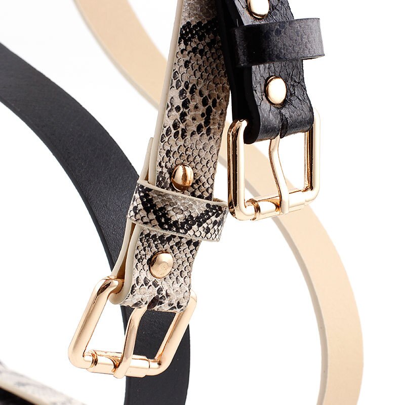 Vrouwelijke Luipaard Riem Snake Skin Zebra Print Dunne Paardenhaar Tailleband Pu Lederen Gouden Ring Hart Pin Metalen Gesp Dames Riemen