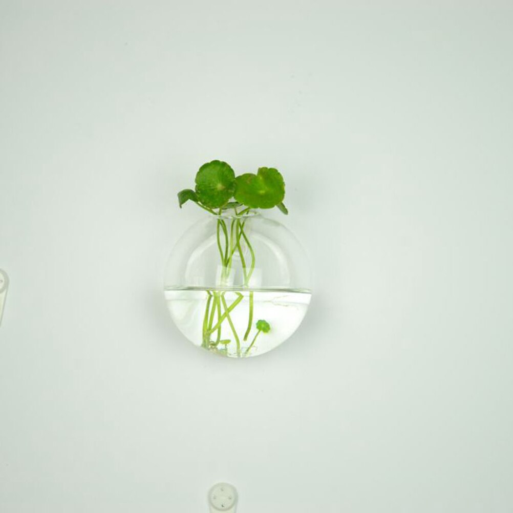 6 former diy klar hängande glasvas blomväxter terrariumbehållare vas mikro landskap bröllopsdekoration: G
