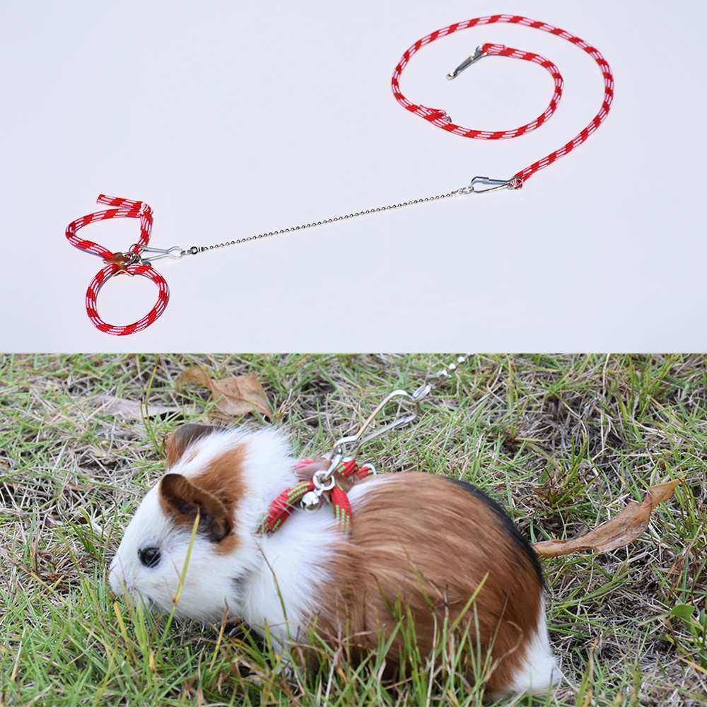 Hamster Accessoires Nylon Kraag Rat Muis Leash Cavia Eekhoorn Fret Finder Kleine Dier Outdoor Halstertouw Pet Producten