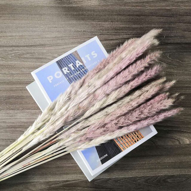 10 st pampas gräs dekor phragmites & vass blommor hem juldekoration torkad blombukett naturliga växter: Brun / 30 st