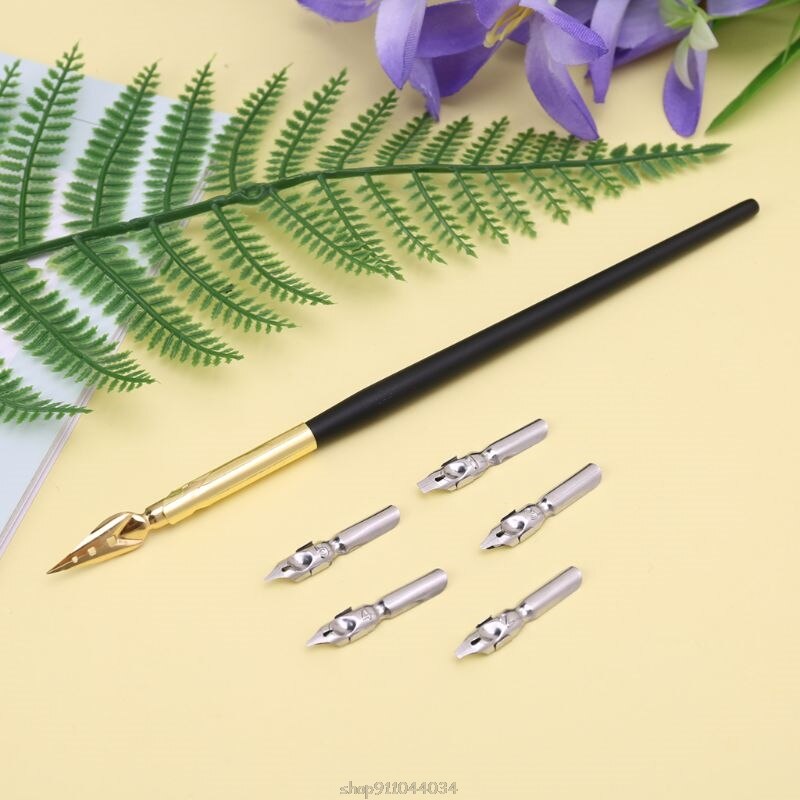 Calligraphy Drawing Dip Ink Nib Pen Set Signature Writing Antique F26 21