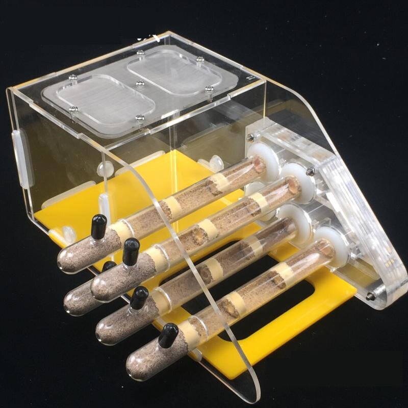 AntHouse AcrylicSand Starter Kit for Ant Keeping Depot Formicarium: Bamboo knot version