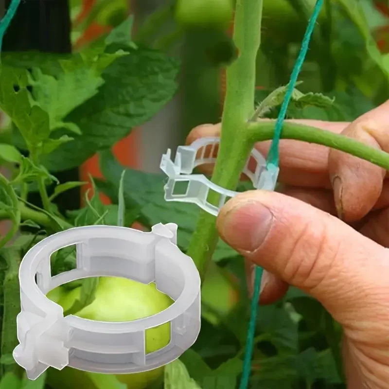 20 pièces Clips de cerclage de vigne de jardin plante groupée boucle porte-anneau tomate jardin plante Support outil jardinage Supports outils