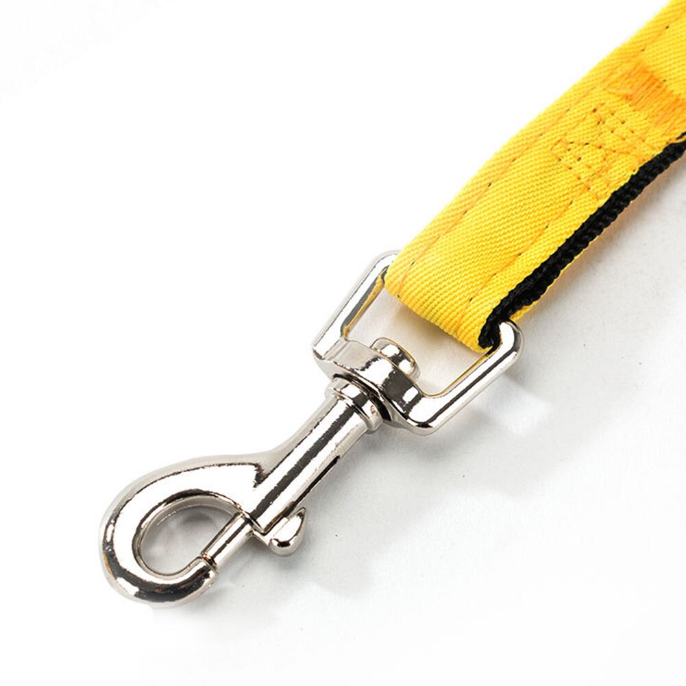 Leuke Bee Hond Harnas Vest Kraag Ademend Borstband Leash Pet Accessoires Pommeren Kraag Hondenriem Met Tractie