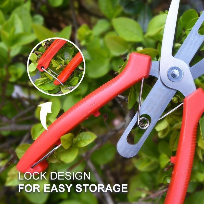 Double-edged Fruit Picking Scissors Garden Pruner Shears Citrus Tree Flower Cultivating Solid Snip