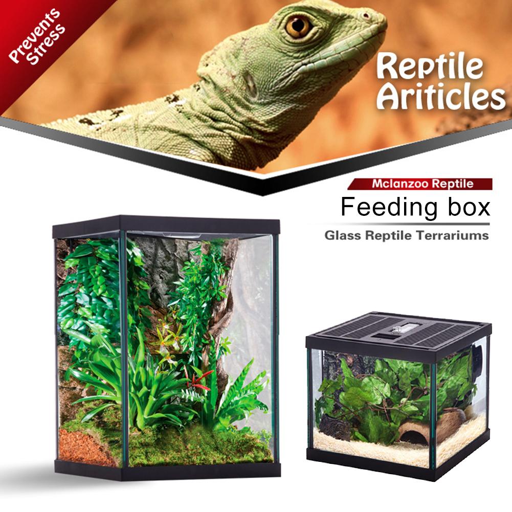 Reptile Glass Terrarium Natural Comfortable Glass Crawling Box Turtle Feeding Box Container