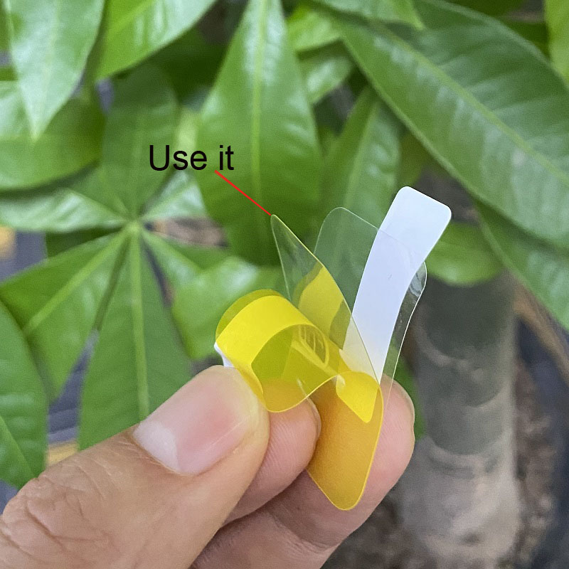 Protective Film Y20 Y68 B57 D20 X8 Max X7 W46 X6 W26 HW22 inch1.69 Screen Protector