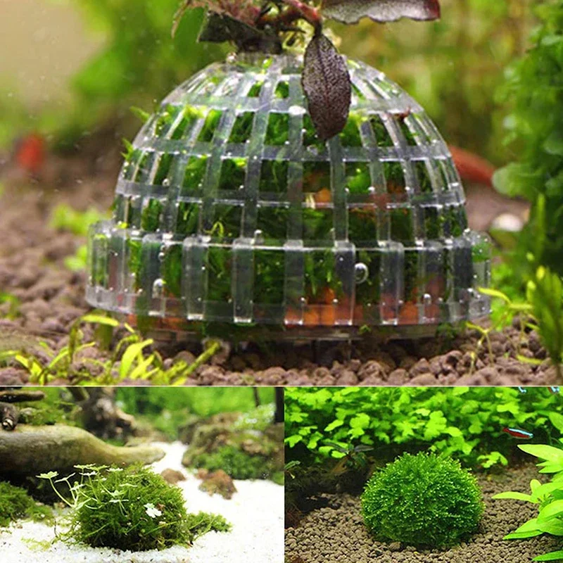 Boule de Mousse pour Aquarium, Filtre de Plantes Vivantes, Accessoires de Décoration Précieux, Fournitures pour Animaux de Compagnie, 1 Pièce