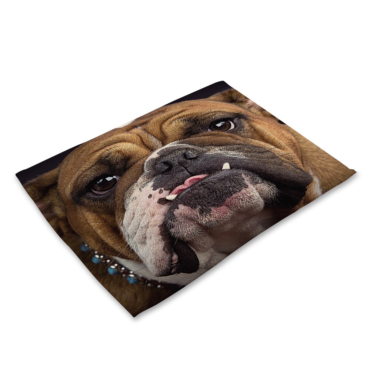 Cotton Linen Art Food Placemat for Dining Table Animal Face 3D Printing Kitchen Accessories Cup Coaster Cat Dog Desgin Mat: Animal Face 03