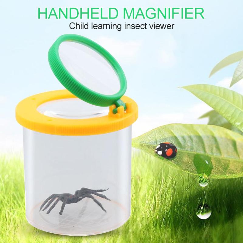 Loupe cylindrique pour araignée jouet enfants | Observation sur chenilles insectes araignée, petite loupe d'animal, boîte de visionnage de jouets éducatifs pour enfants