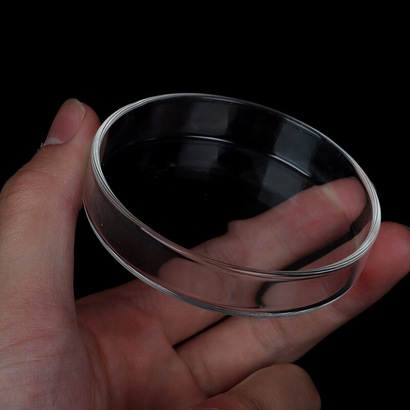 Plato de cristal transparente de gambas para comer, bandeja alimentadora de comida, contenedor redondo para acuario