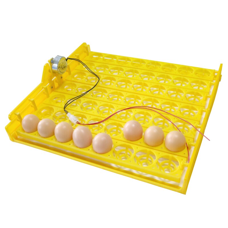 Incubadora automática de 56 huevos, 110V/220V, Incubadora automática de huevos, equipo de incubación para aves de corral, ,