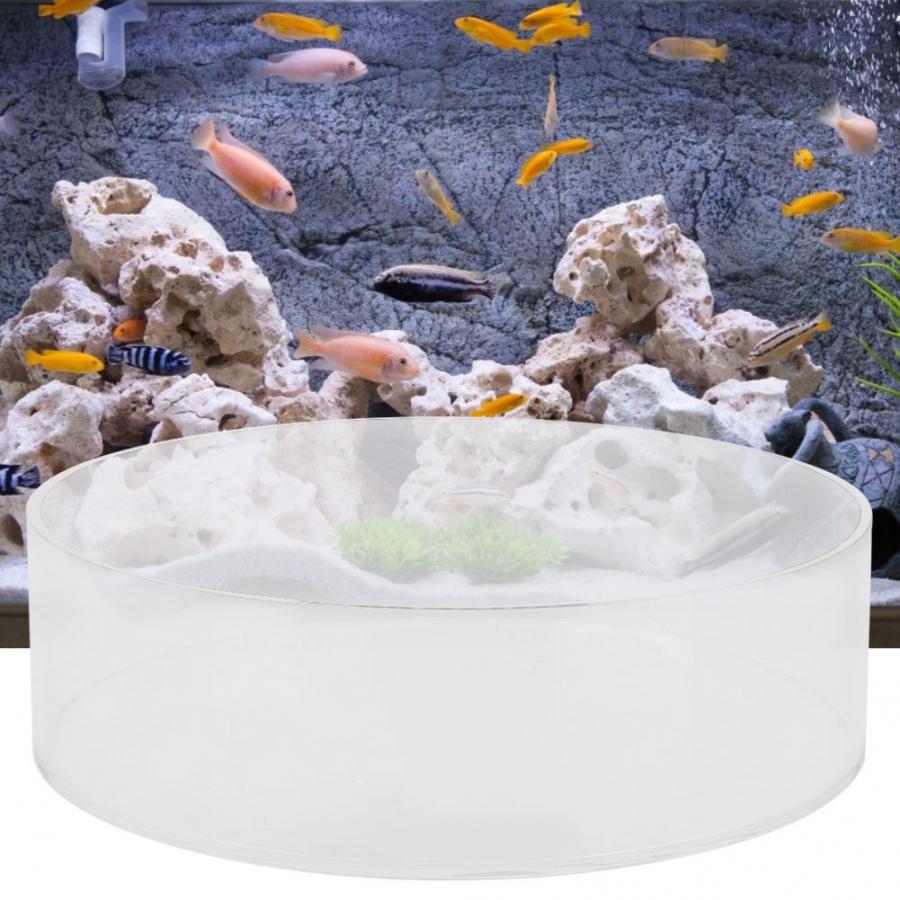 Loupe cylindrique pour Aquarium de poissons, acrylique corail, lentille d'observation, photographie