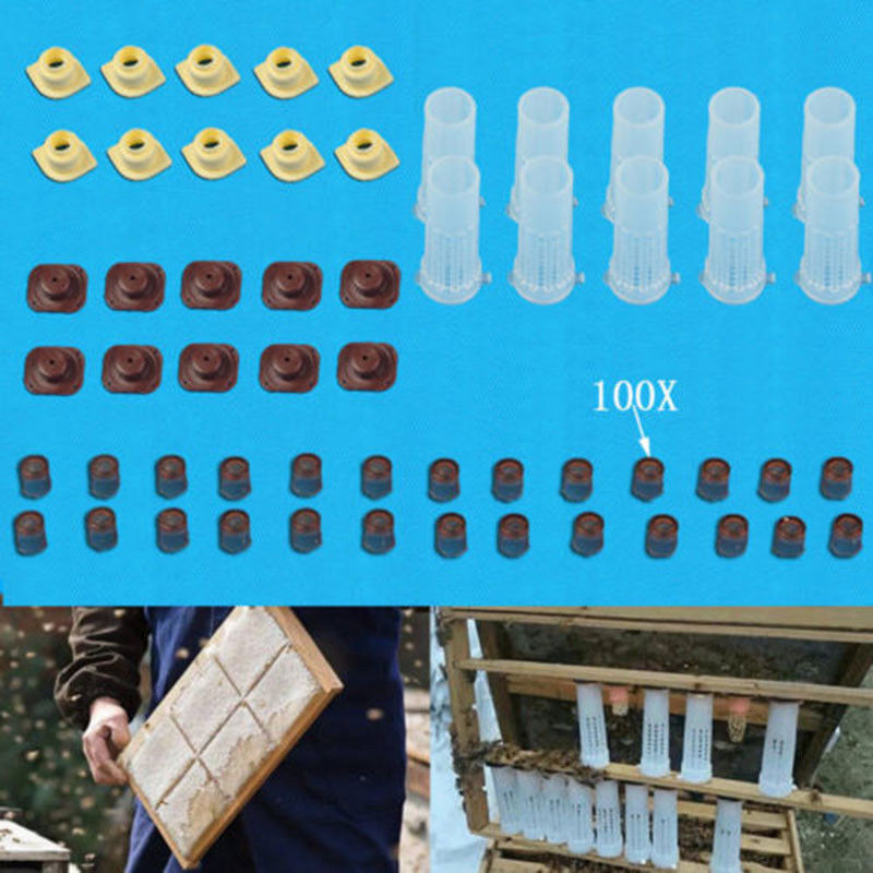 100 st bin verktyg burar drottning uppfödning cupkit plast bee cell koppar odling låda cell koppar bi bur biodling verktygssats