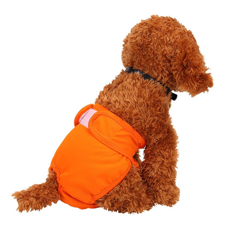 MICATALE Weibliche Hund Welpen Physiologischen Hosen Atmungs Pet Unterwäsche Windeln Waschbar Mädchen Haustiere Windel Für Kleine Mittelgroße Hunde: orange / L