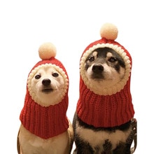 Chapeau tricoté en laine pour chien, accessoire pour chien, bouledogue français, nouvel an, hiver
